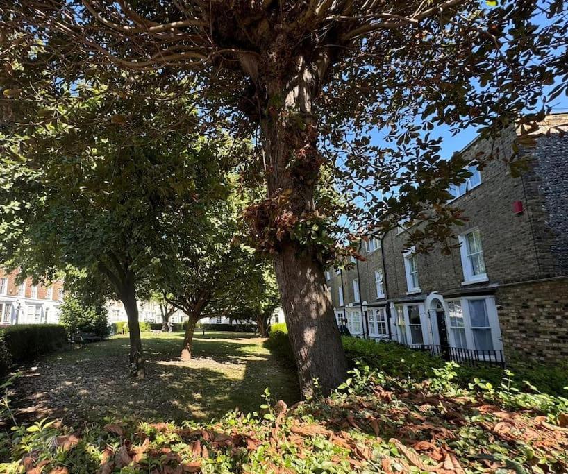 2 Bed Georgian Cottage, Ramsgate Extérieur photo
